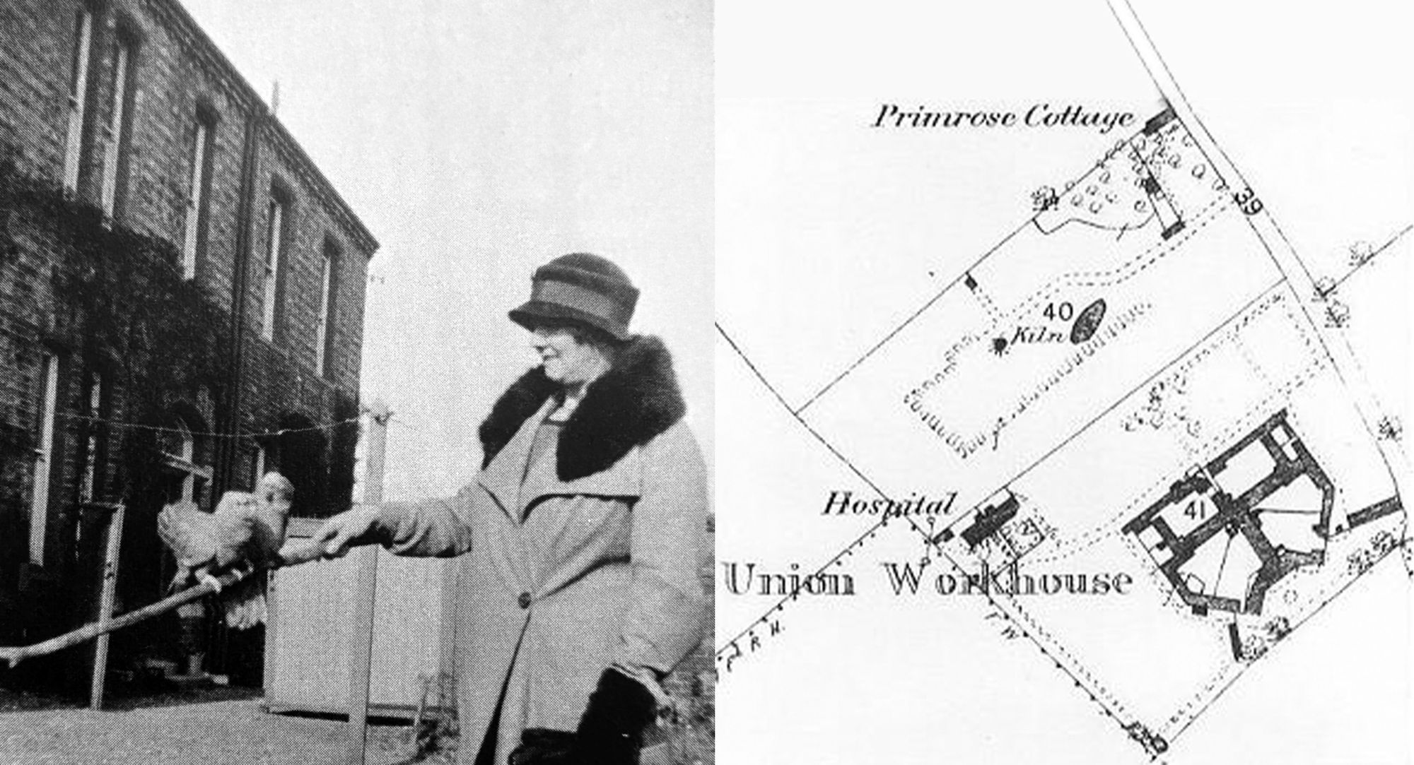 The Isolation Hospital was built in the western corner of the workhouse site, as can be seen here on the 1882 OS map.